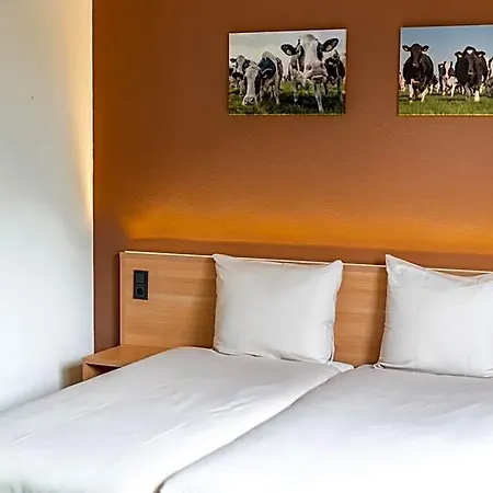 Het Zwaantje 3*